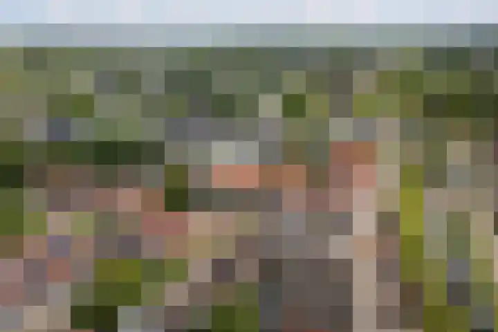 Bouwlust 8 Joure thumbnail 34