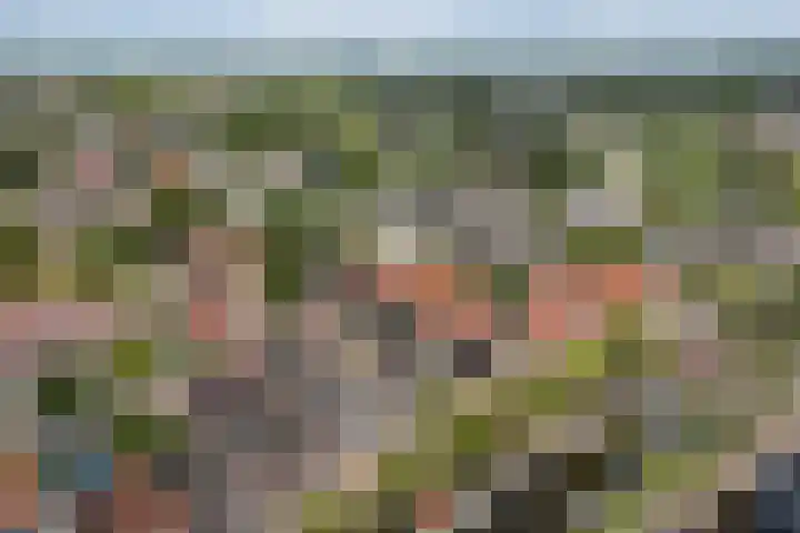 Bouwlust 8 Joure thumbnail 5