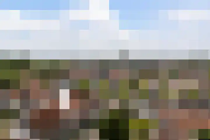 Bouwlust 8 Joure thumbnail 6