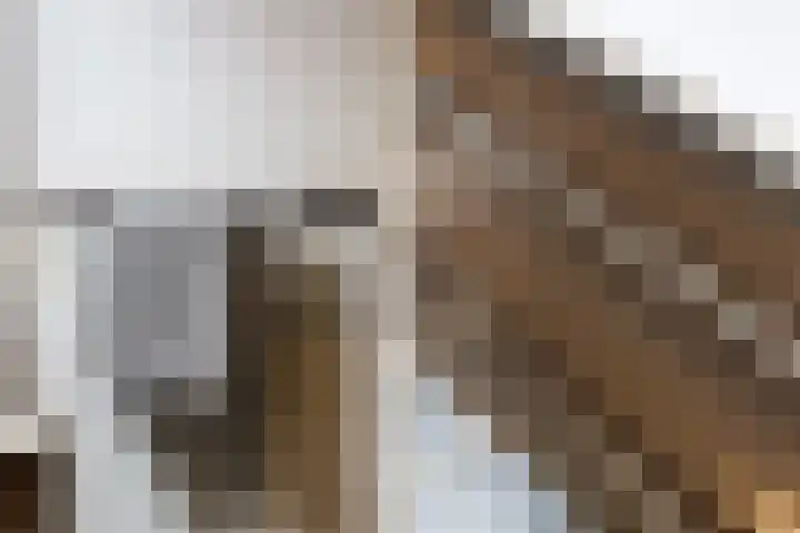 Bouwlust 9 Rhoon thumbnail 21