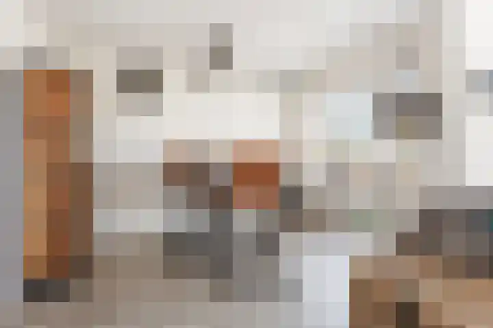 Bouwlustlaan 10 Den Haag thumbnail 10