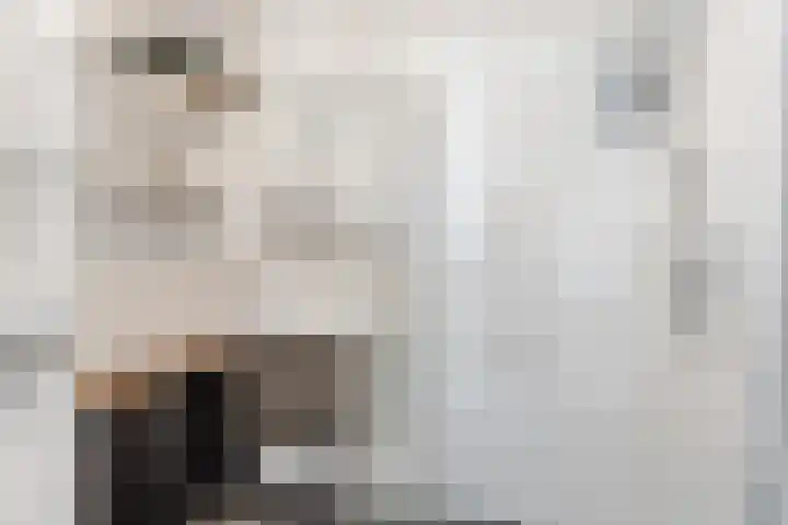 Bouwlustlaan 10 Den Haag thumbnail 17