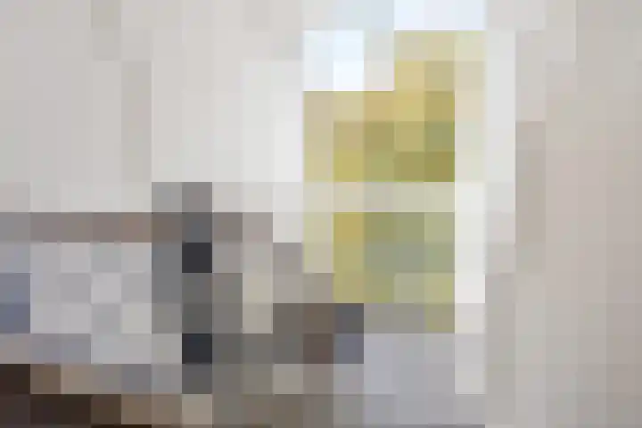 Bouwlustlaan 10 Den Haag thumbnail 26