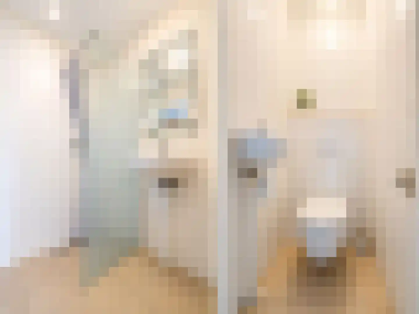 Bouwlustlaan 54 Den Haag thumbnail 11