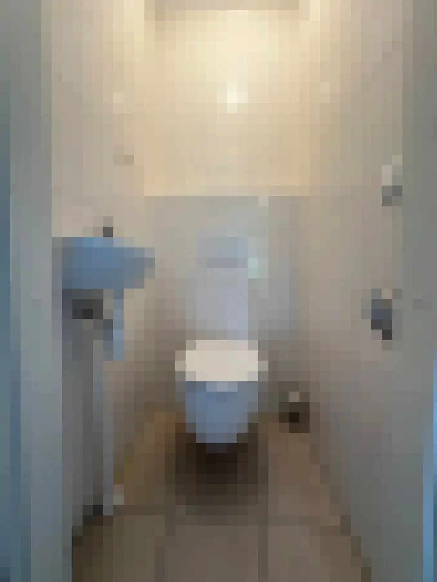 Bouwlustlaan 54 Den Haag thumbnail 12