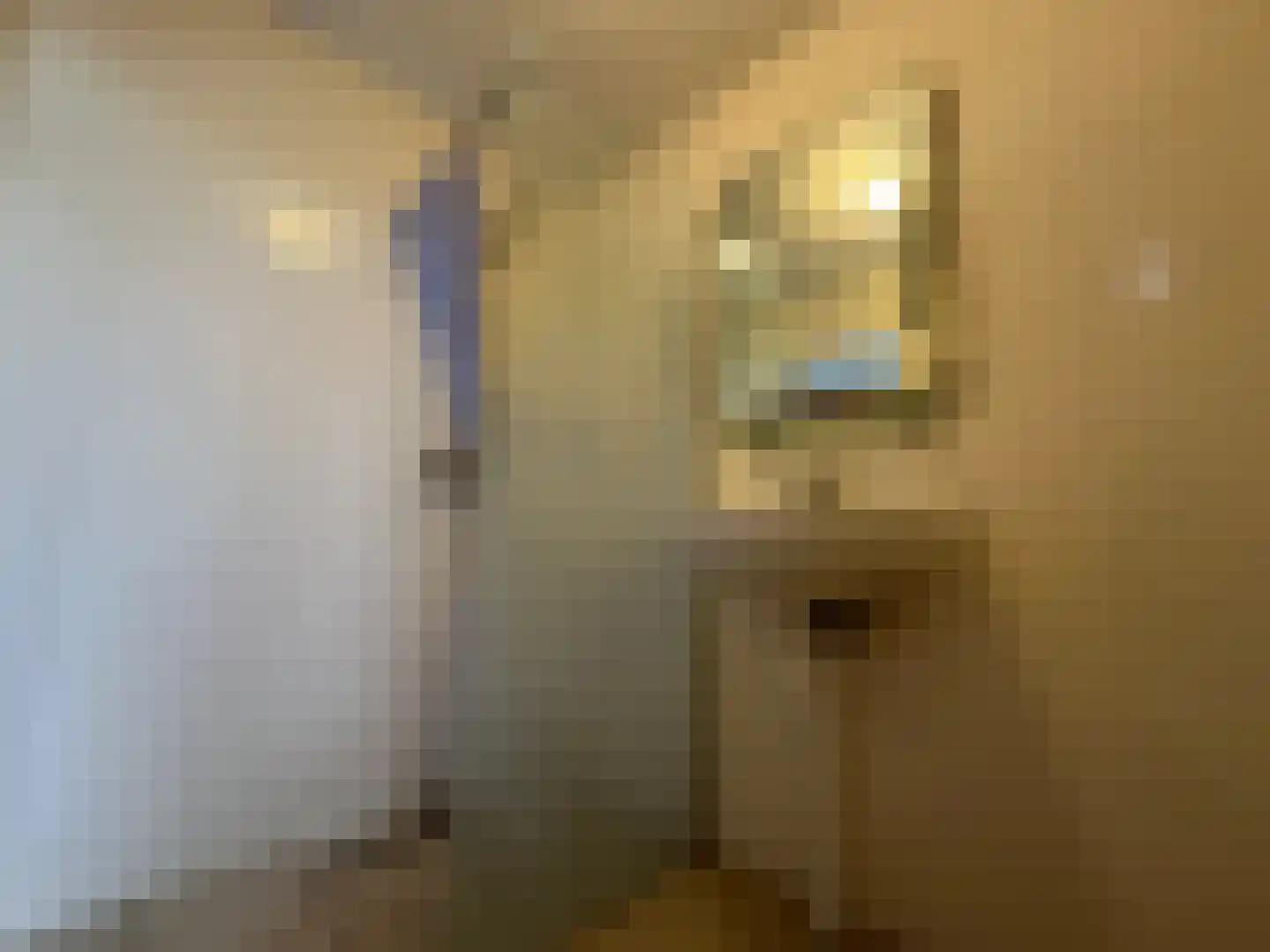 Bouwlustlaan 54 Den Haag thumbnail 13