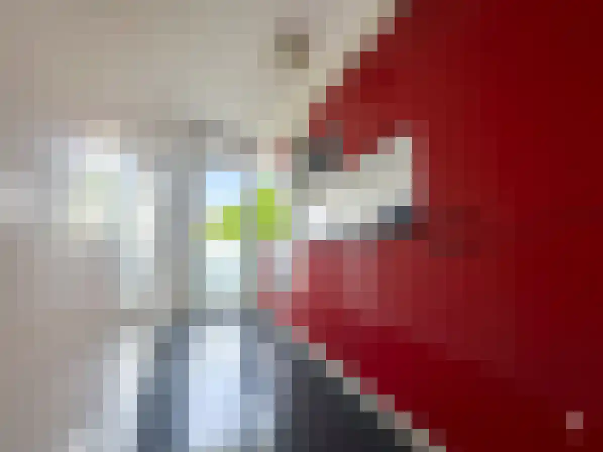 Bouwlustlaan 54 Den Haag thumbnail 4
