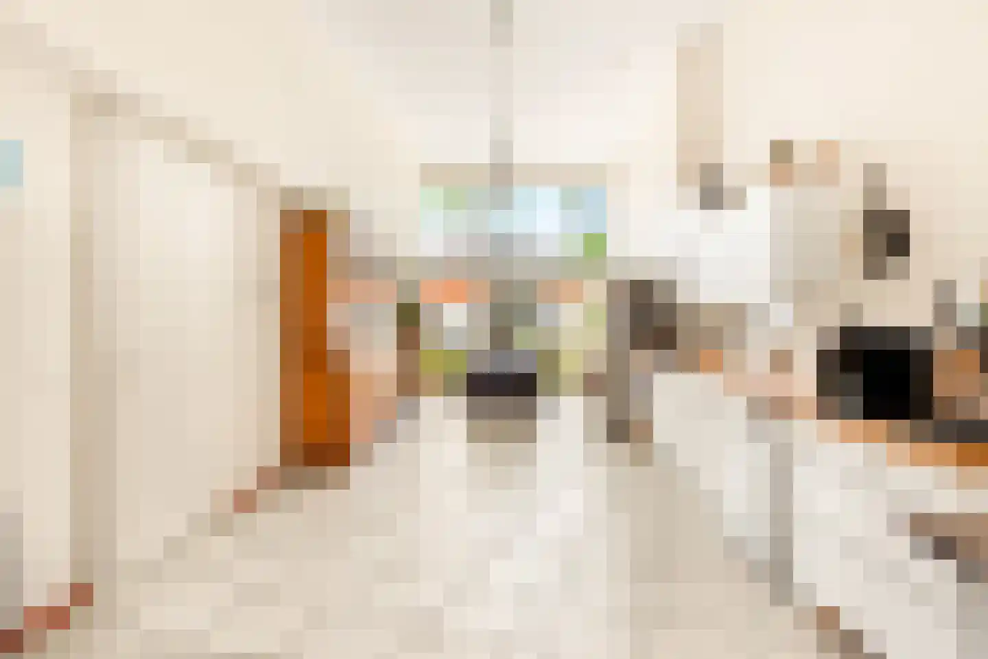 Bouwlustplaats 9 Haarlem thumbnail 32