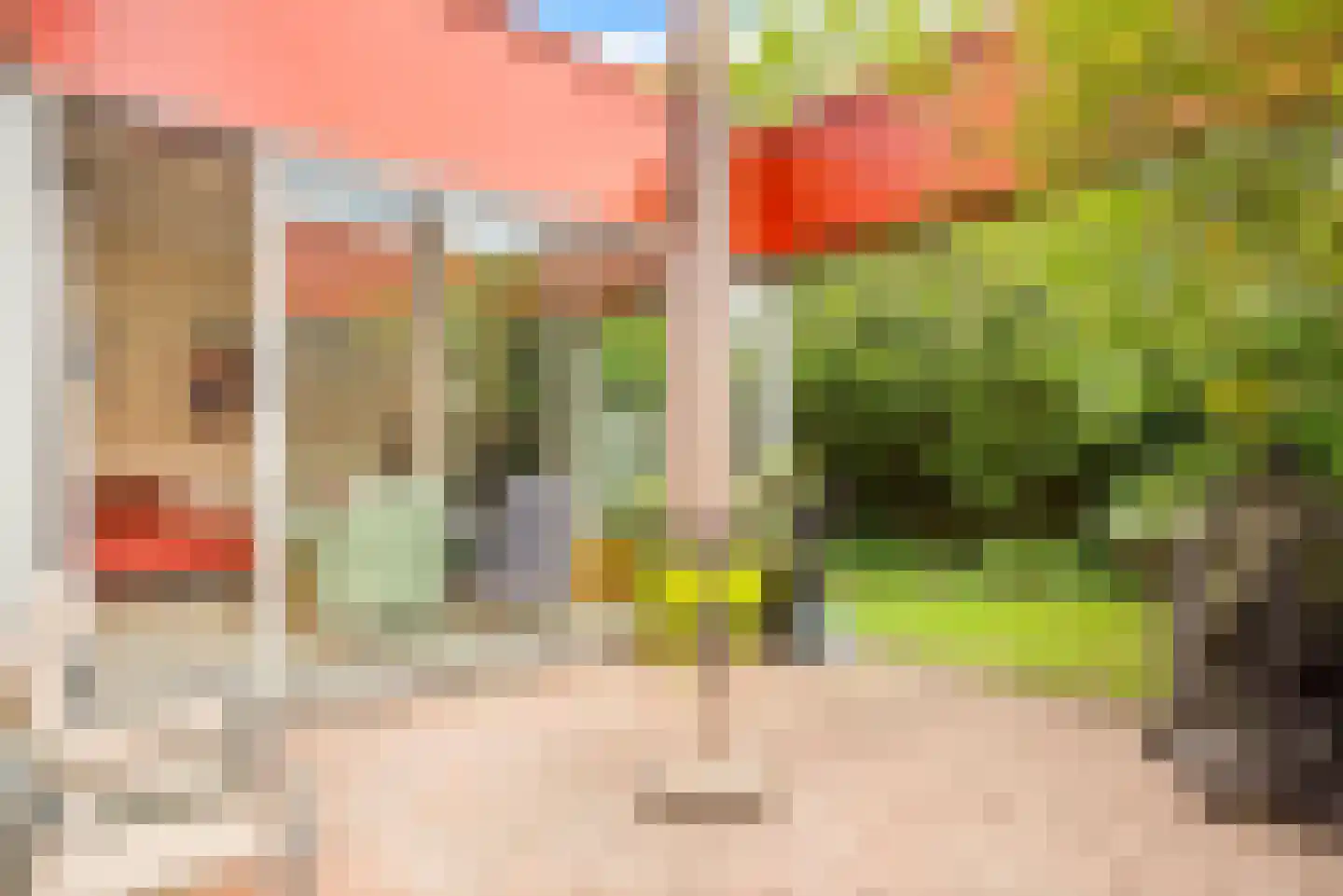 Bouwlustplaats 9 Haarlem thumbnail 39