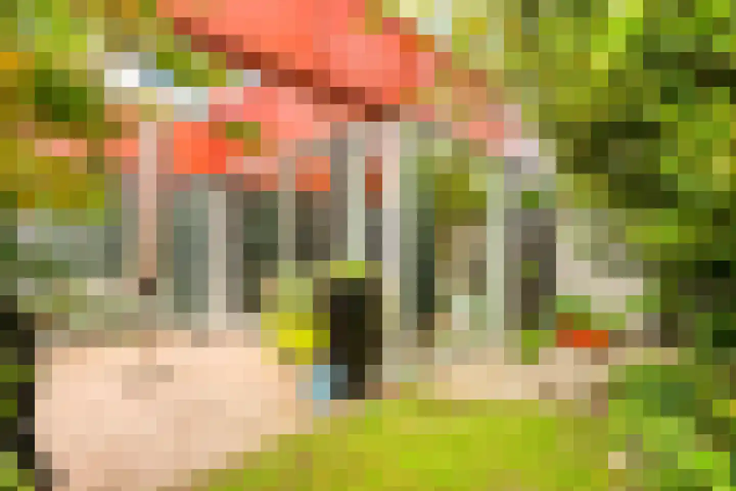 Bouwlustplaats 9 Haarlem thumbnail 41