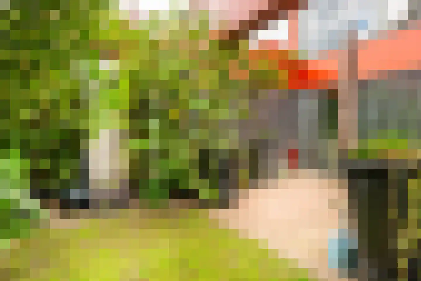 Bouwlustplaats 9 Haarlem thumbnail 43