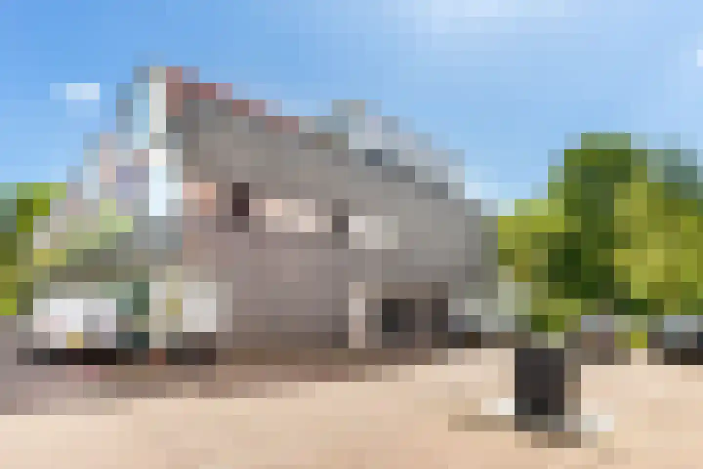 Bouwlustplaats 9 Haarlem thumbnail 70