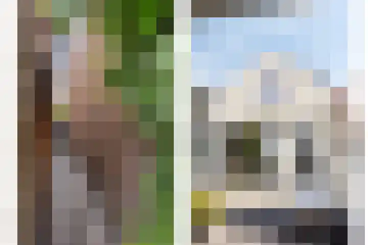 Bouwmanspad 15 Zaandam thumbnail 13