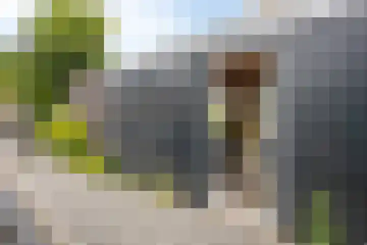 Bouwmanspad 15 Zaandam thumbnail 14