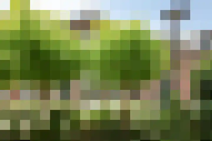 Bouwmanspad 15 Zaandam thumbnail 28
