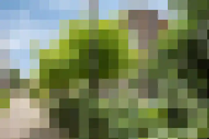 Bouwmanspad 15 Zaandam thumbnail 29