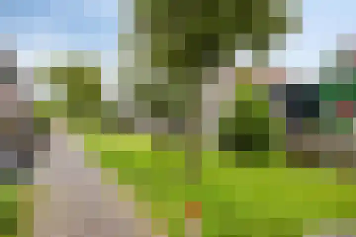 Bouwmanspad 15 Zaandam thumbnail 33