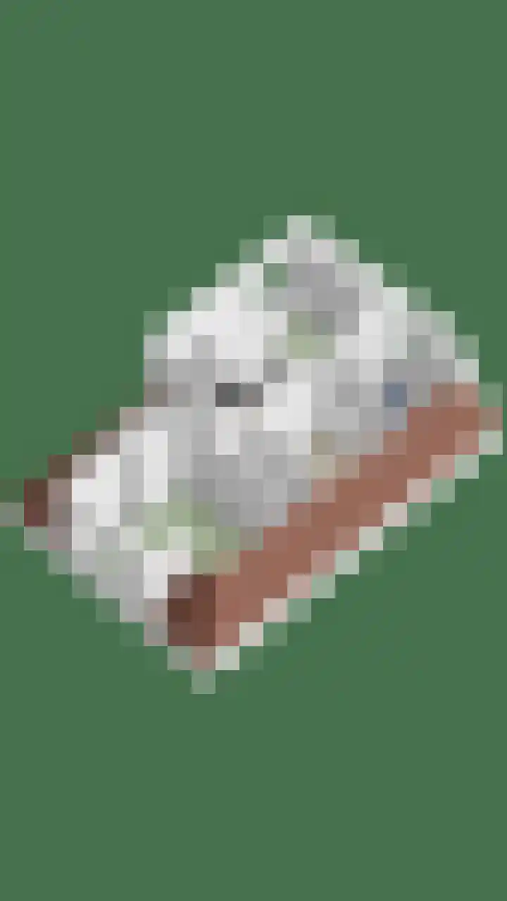 Bouwmanspad 15 Zaandam thumbnail 39