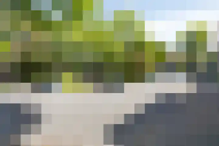 Bouwmanspad 24 Zaandam thumbnail 32