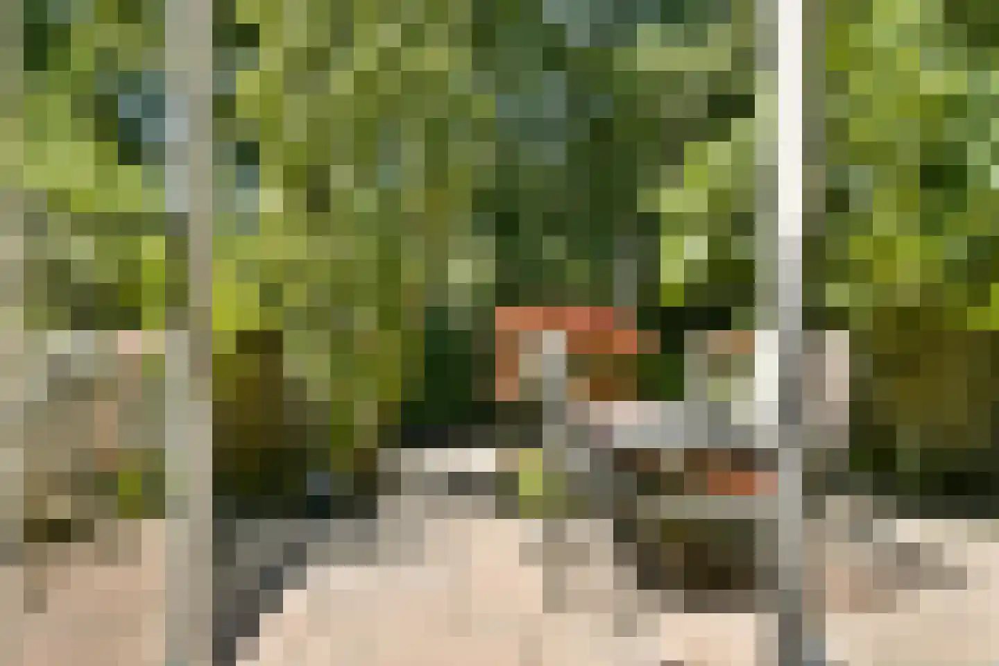 Bouwmeester 29 Amstelveen thumbnail 12