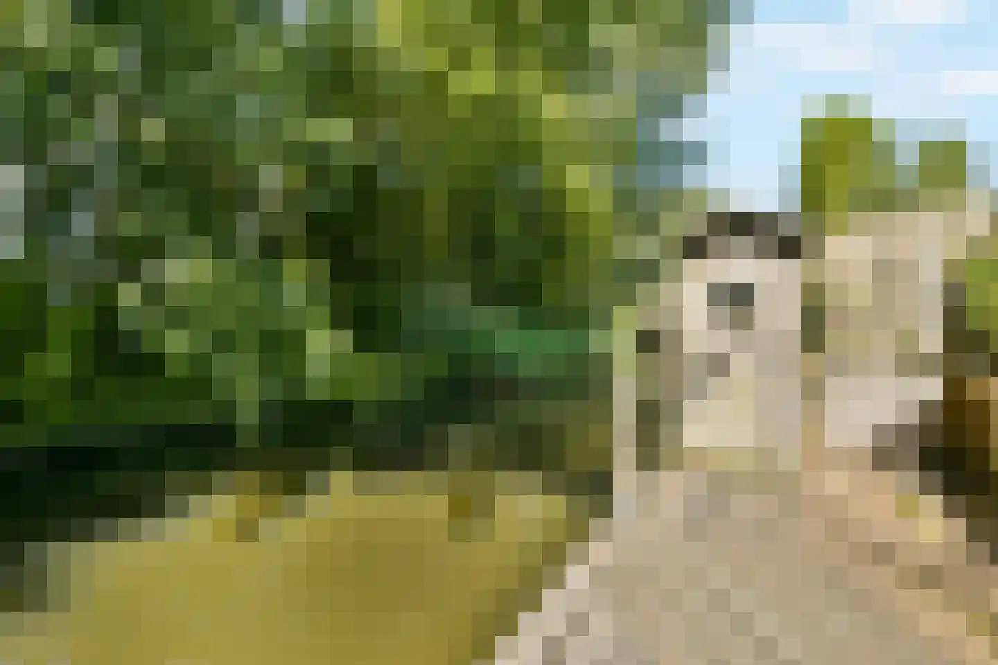 Bouwmeester 29 Amstelveen thumbnail 13