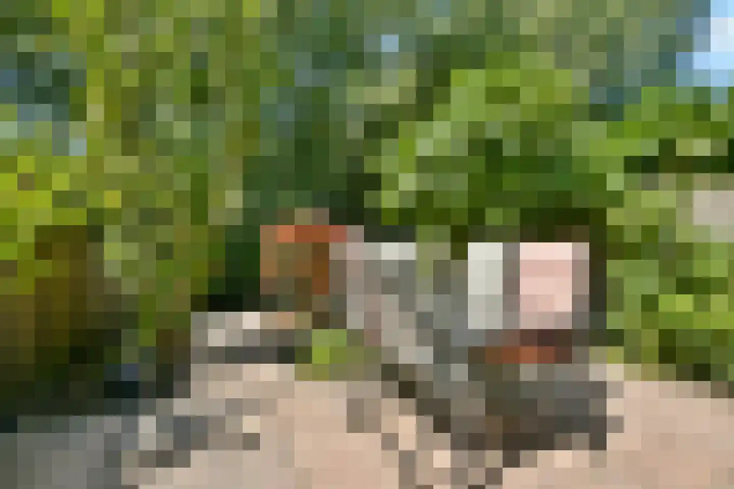 Bouwmeester 29 Amstelveen foto 3