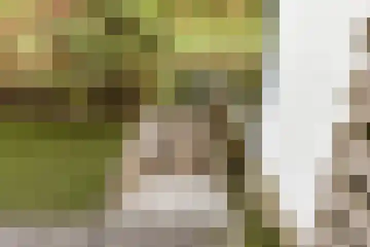 Bouwmeester 79 Amstelveen thumbnail 10