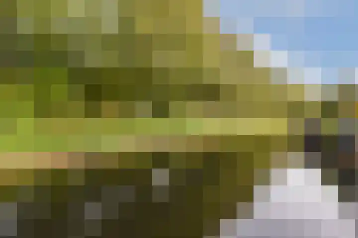 Bouwmeester 79 Amstelveen thumbnail 12