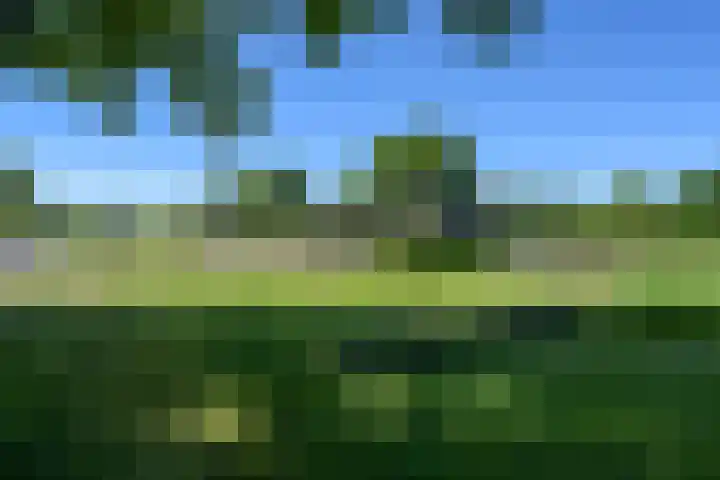Bouwmeestersgoed 119 Putten thumbnail 38
