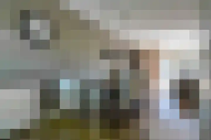Bouwmeestersgoed 119 Putten thumbnail 7