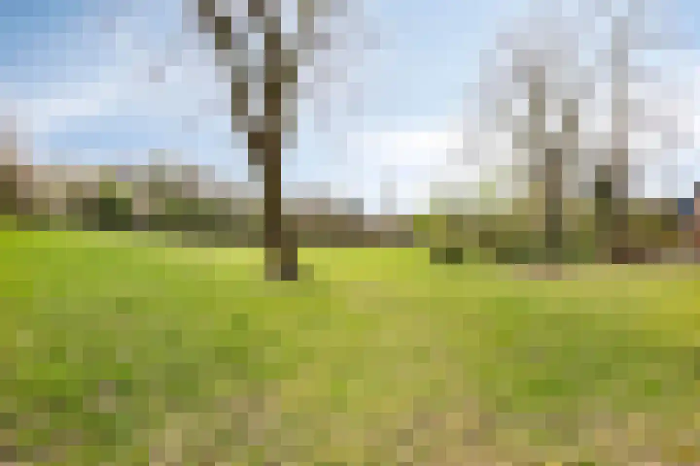 Bouwmeestershoeve 112 Apeldoorn thumbnail 31