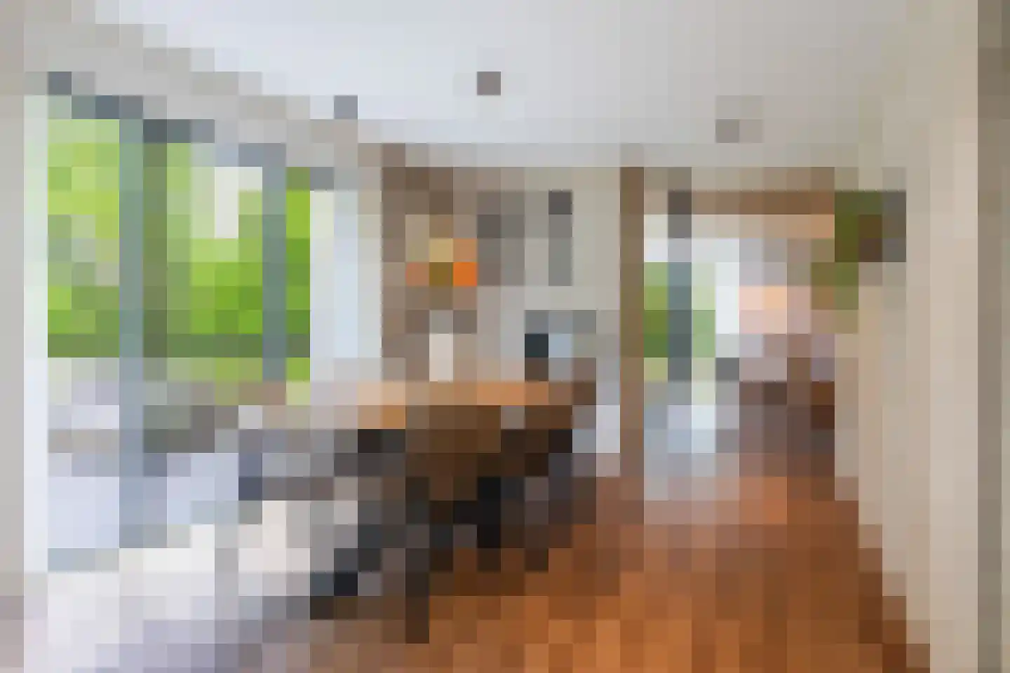 Bouwmeestershoeve 322 Apeldoorn thumbnail 10