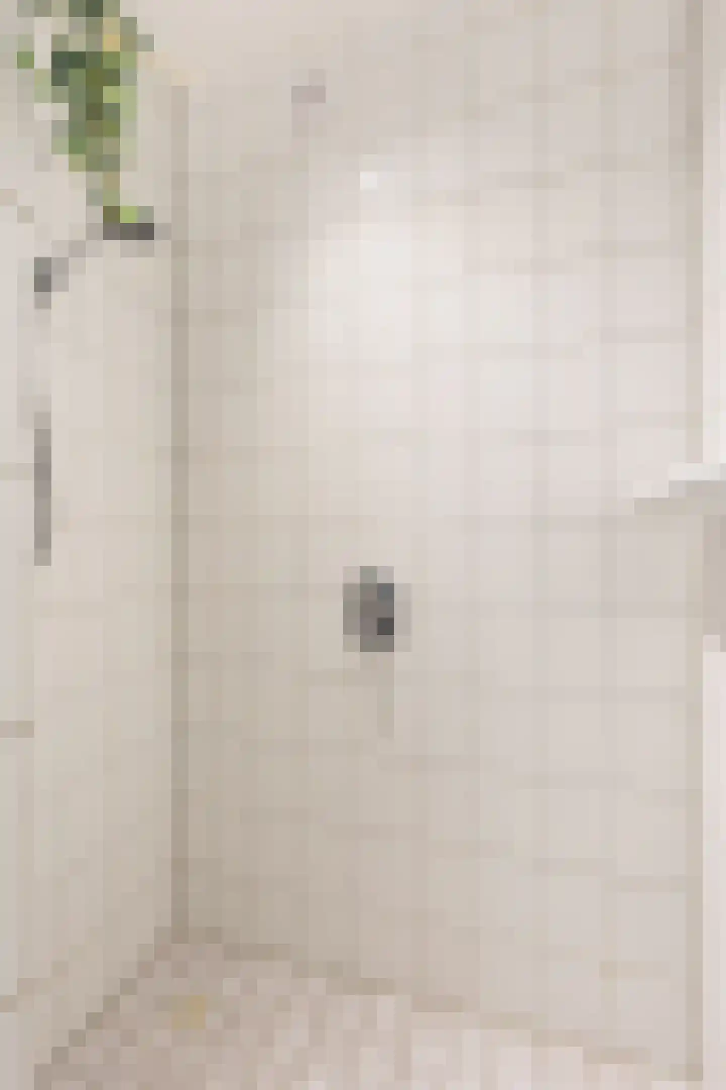 Bouwmeestershoeve 322 Apeldoorn thumbnail 22