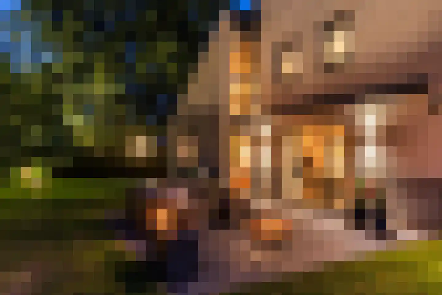 Bouwmeestershoeve 322 Apeldoorn thumbnail 55