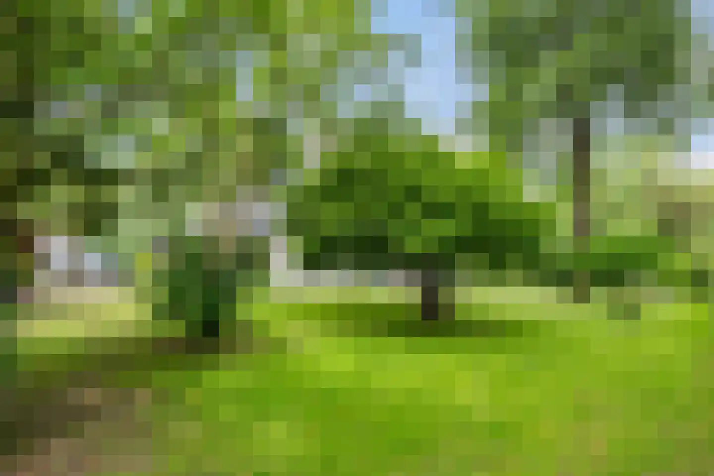 Bouwmeestershoeve 322 Apeldoorn thumbnail 60