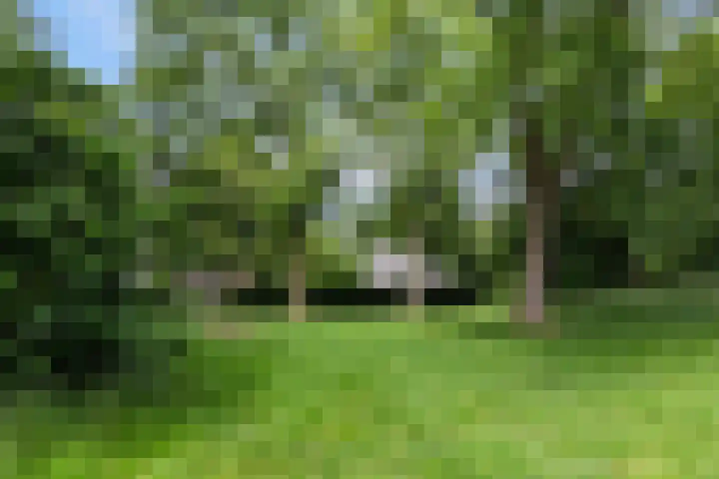 Bouwmeestershoeve 322 Apeldoorn thumbnail 66