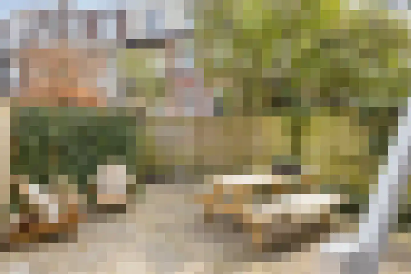 Bouwmeesterstraat 19 Arnhem thumbnail 34