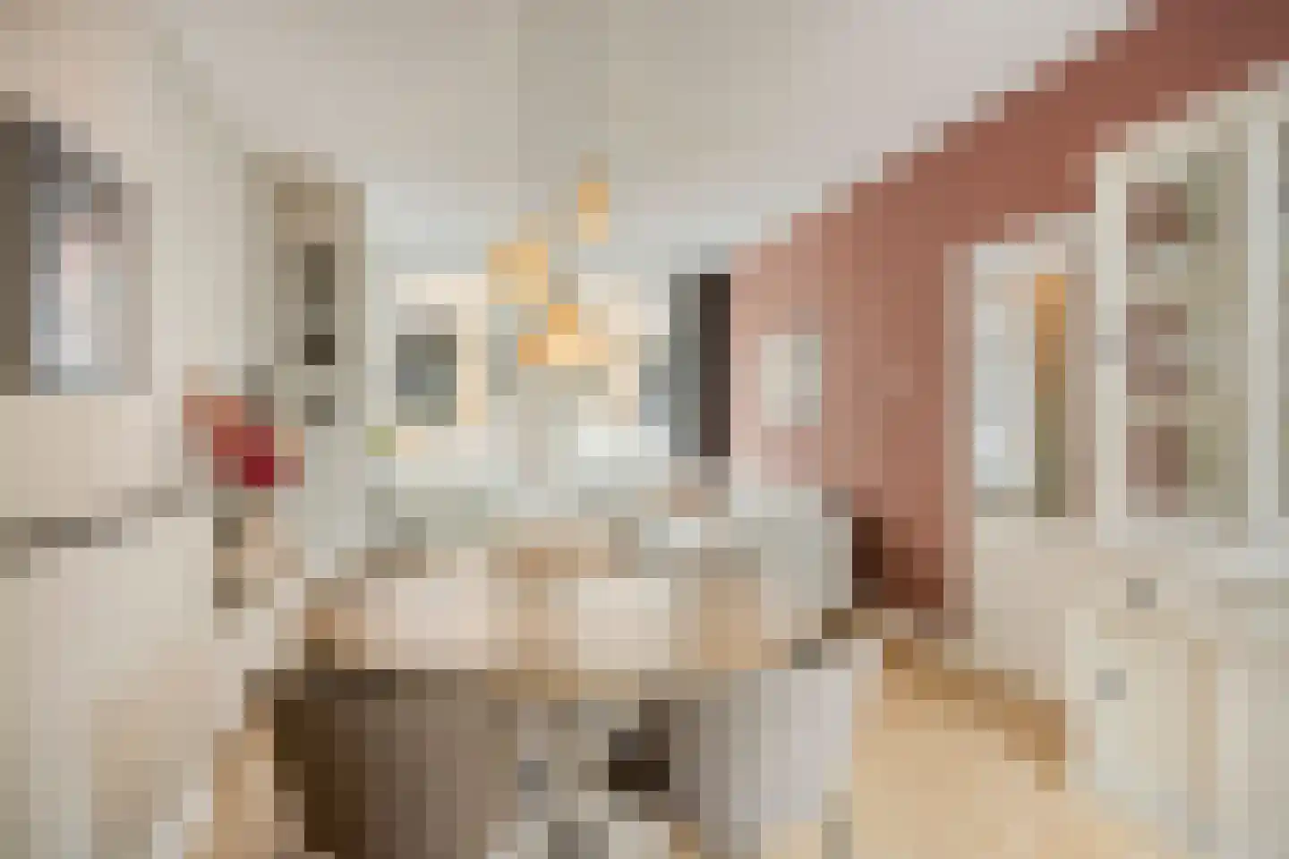Bouwmeesterstraat 19 Arnhem thumbnail 9