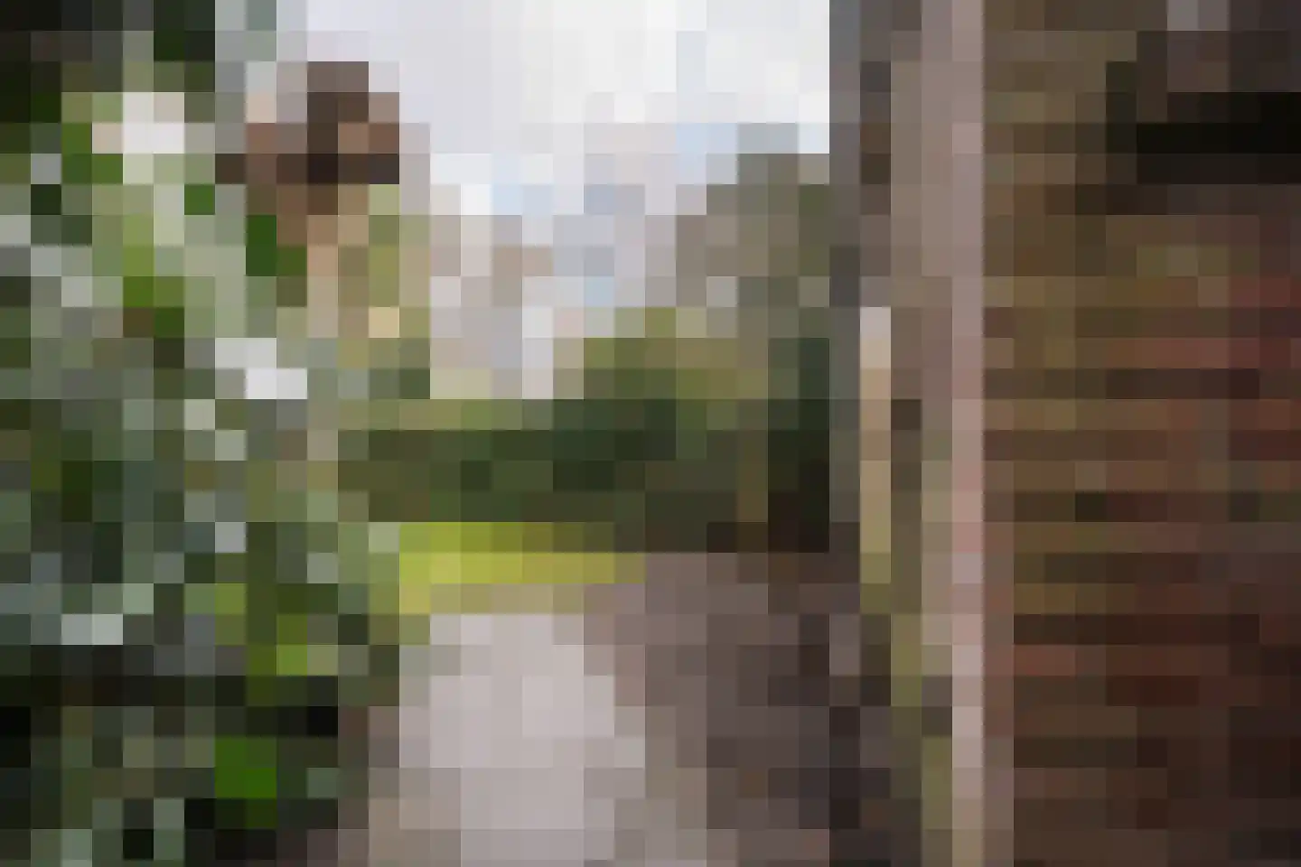 Bouwmeesterstraat 20 Arnhem thumbnail 58
