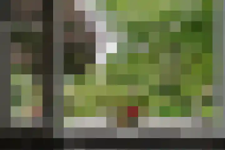 Bouwmeesterstraat 32 Vriezenveen thumbnail 12