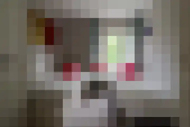 Bouwmeesterstraat 32 Vriezenveen thumbnail 26
