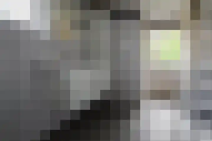 Bouwmeesterstraat 32 Vriezenveen thumbnail 30
