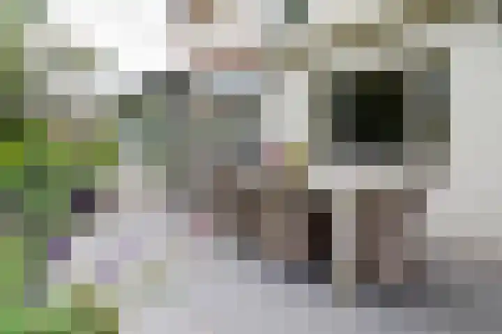 Bouwmeesterstraat 32 Vriezenveen thumbnail 36