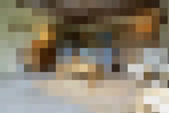 Bouwmeesterstraat 32 Vriezenveen thumbnail 38