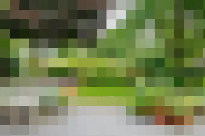Bouwmeesterstraat 32 Vriezenveen thumbnail 41