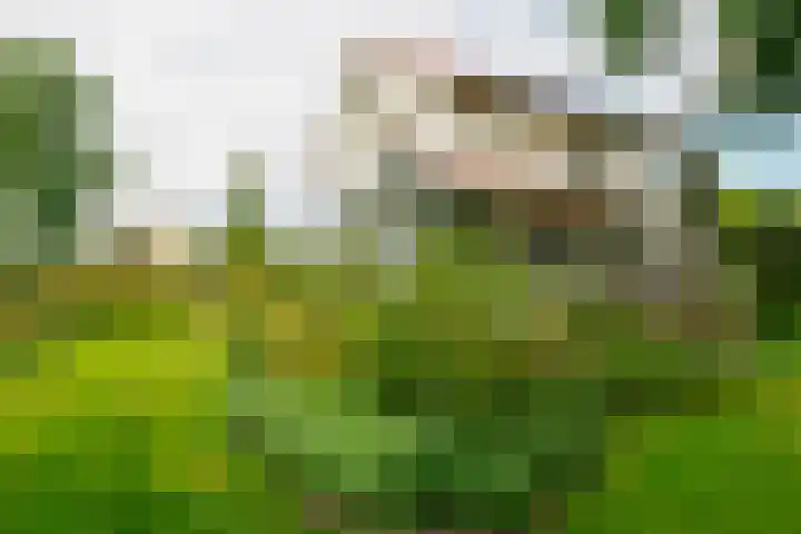Bouwmeesterstraat 32 Vriezenveen thumbnail 44