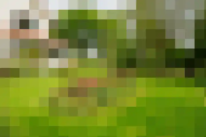 Bouwmeesterstraat 32 Vriezenveen thumbnail 46