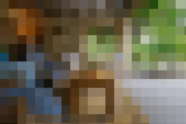 Bouwmeesterstraat 32 Vriezenveen thumbnail 5