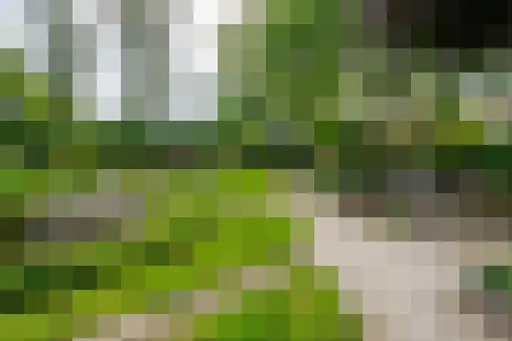 Bouwmeesterstraat 32 Vriezenveen thumbnail 50