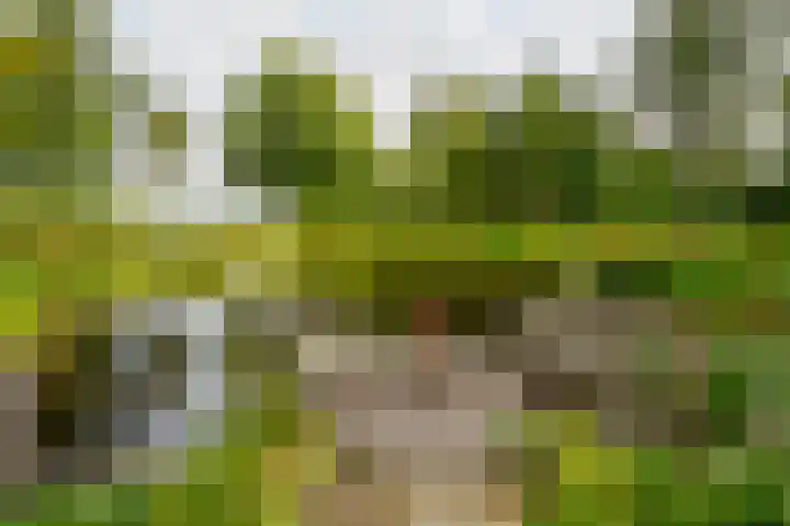 Bouwmeesterstraat 32 Vriezenveen thumbnail 51